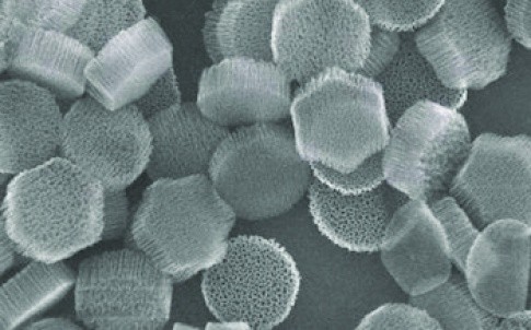 Silicon mesoporous particles, aka SiMPS, about 1,000 nanometres across contain thousands of much smaller particles of iron oxide. The SiMPs can be manipulated by magnets and gather at the site of tumours, where they can be heated to kill malignant tumours