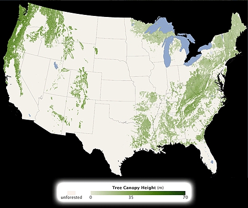 A forest canopy height map of the contiguous United States