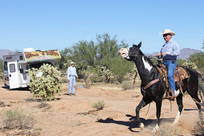 At the UA-Zonge Engineering test site in the Sonoran Desert near Tucson, Brad Cowan, of Cowan Horse Adventures in Southwest Tucson, takes his 1,300-pound mare for a trot across the buried fibre-optic cable, which is connected to a Helios detection unit in