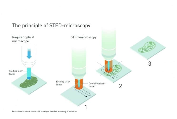 /o/y/v/TE_STED_Microscopy.jpg
