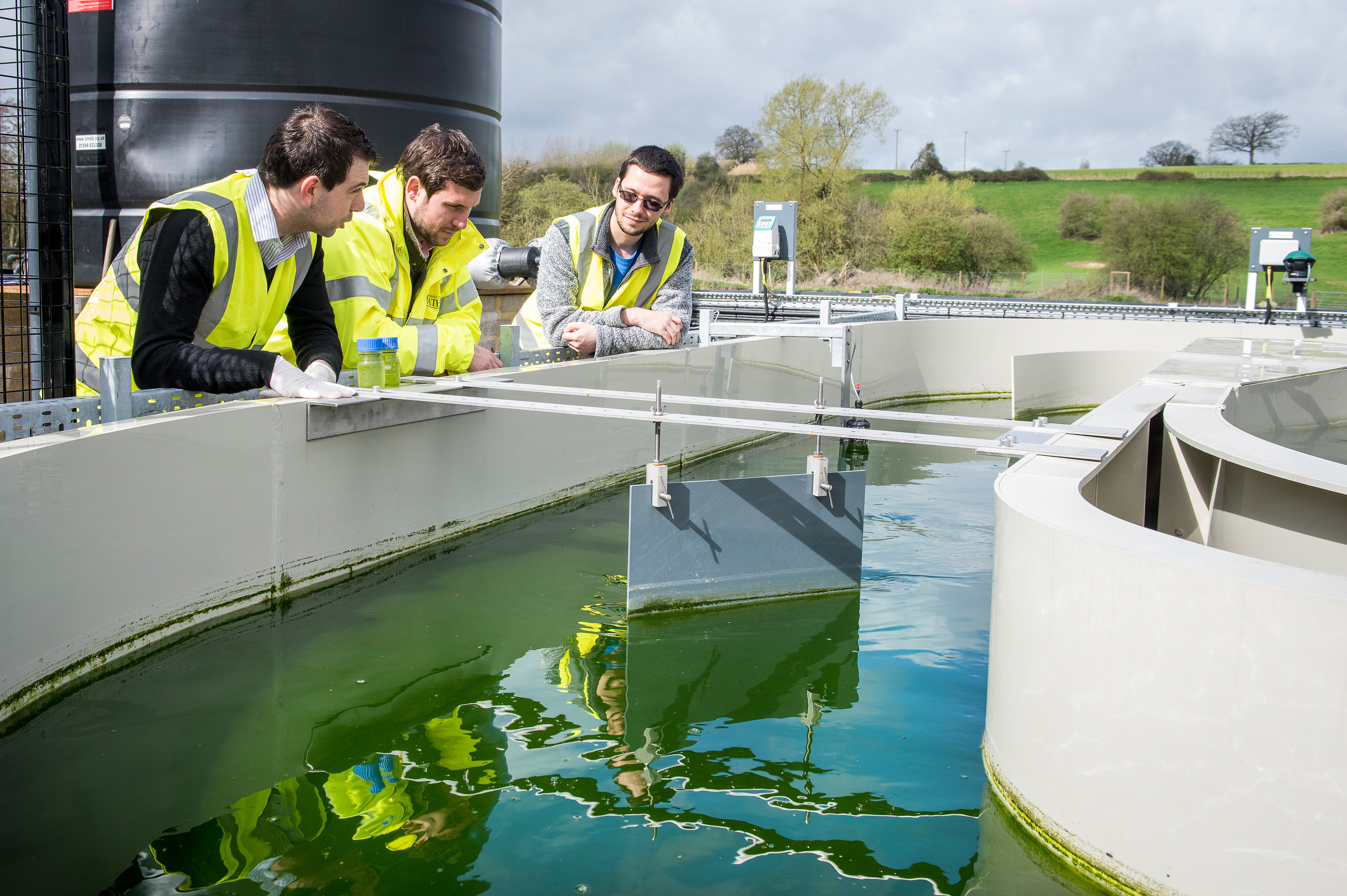 Algae water treatment
