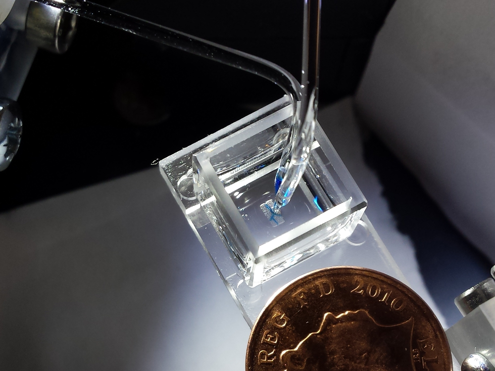 3D droplet cell bioprinter (credit Sam Olof/ Alexander Graham)