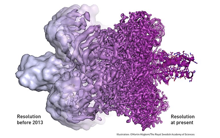 nobel prize cryo-electron imaging