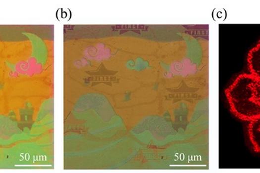 Researchers have developed a metasurface device that can display three types of images depending on the illumination light. Shown are a colour nanoprinted image (a), the same image with a polarisation-dependent watermark (b), and a holographic flower (c)
