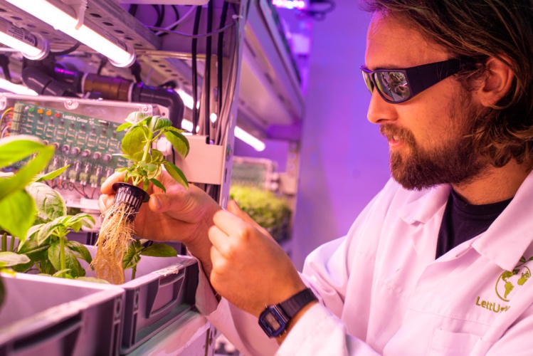 vertical farming
