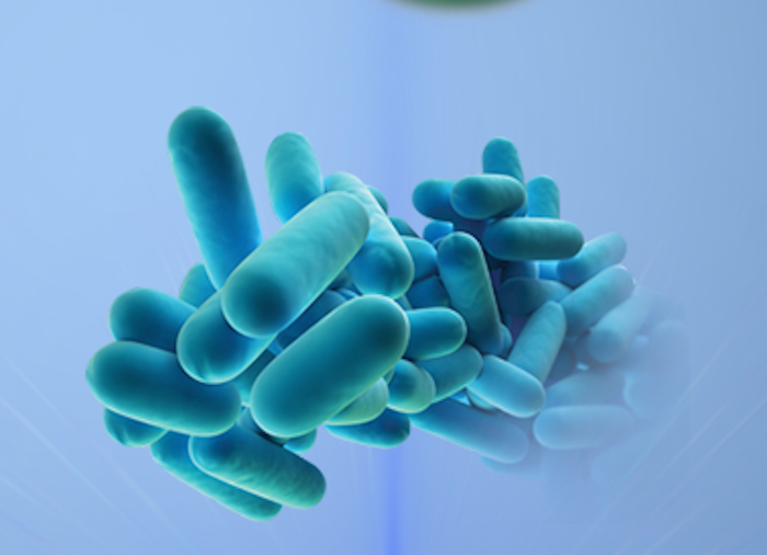 legionaires_blue_bacterial