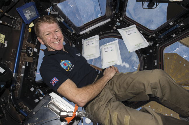 Major Tim Peake's time on the International Space Station is almost up
