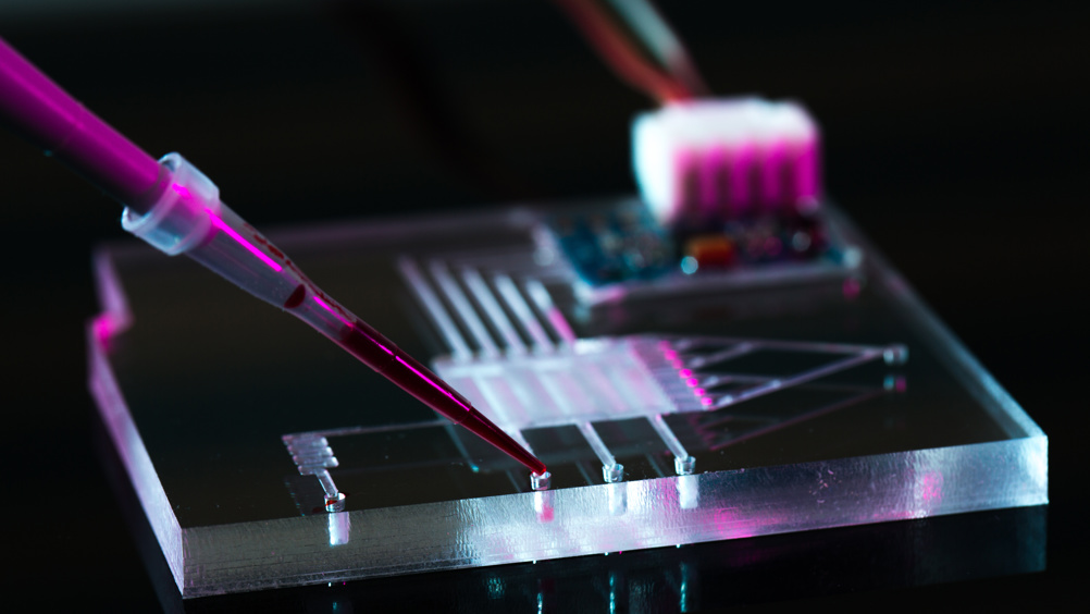 organ-on-a-chip technologies aim to bridge the gap between petri dish (in vitro) and animal (in vivo) testing