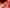 Artist’s rendering shows the material reflecting infra-red light while letting other wavelengths pass through