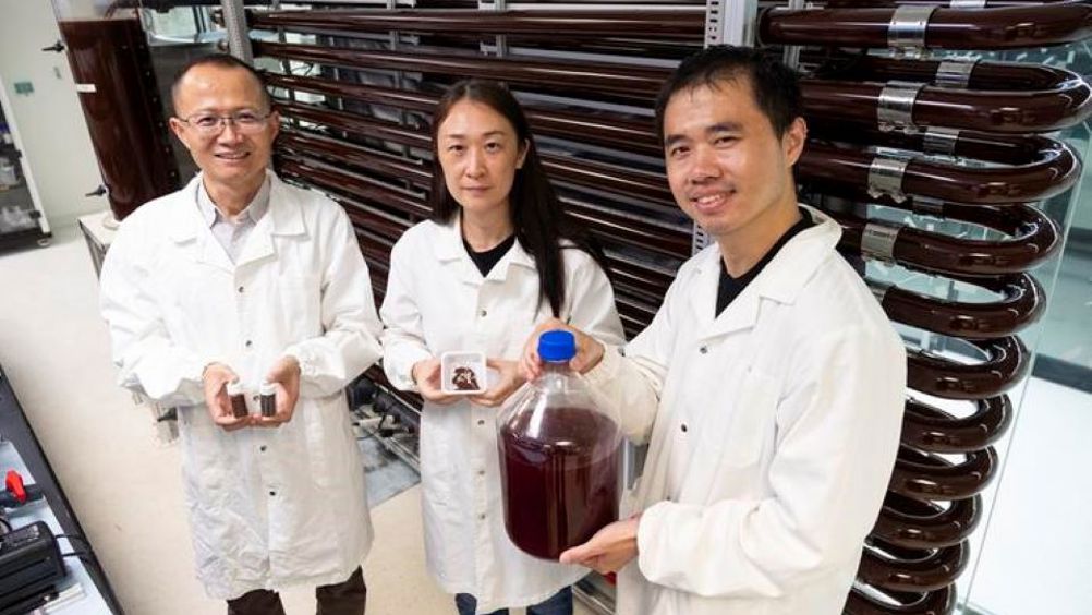 Transforming Sewage Sludge into Valuable Resources: A Solar-Powered Solution