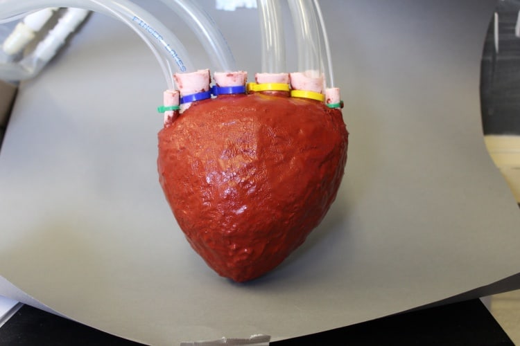 The pores in the artificial heart allow liquid to pass through.