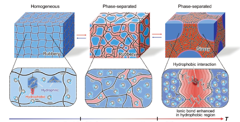 hydrogel