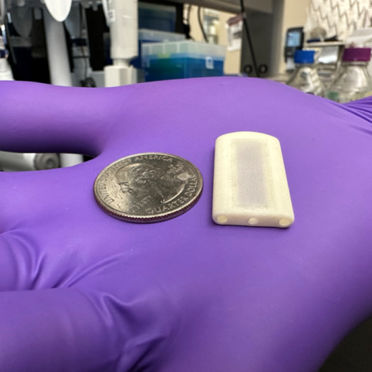 Neovascularised Implantable Cell Homing and Encapsulation (NICHE) device is about the size of a quarter dollar coin