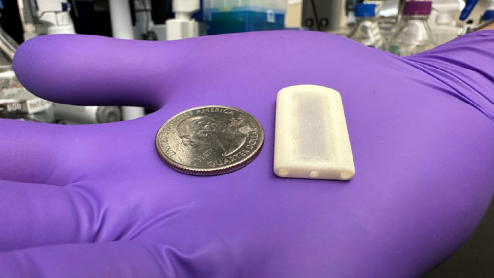 Neovascularised Implantable Cell Homing and Encapsulation (NICHE) device is about the size of a quarter dollar coin