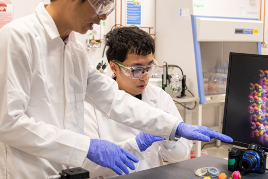 Weijian Yang, PhD, and Feng Tian developed a camera that uses a thin microlens array and new image processing algorithms to capture 3D information about multiple objects in single exposure. The raw sub-images from the microarray are displayed on the monitor