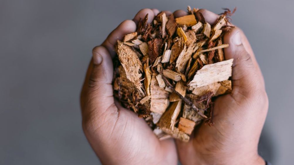 Biogrpaphite, a drop-in replacement for synthetic graphite,  can be created from sustainable forestry industry by-products like wood chips