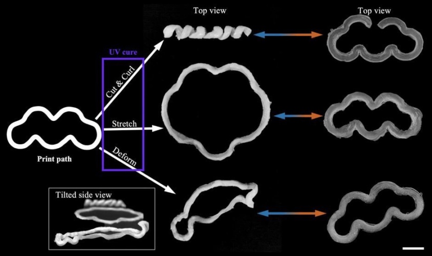 morphing materials