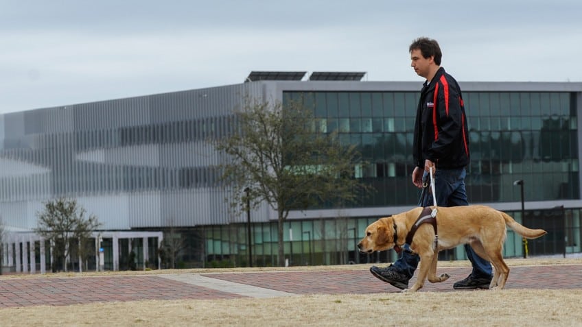 Sean Mealin and Simba, using a traditional guide dog harness and handle.