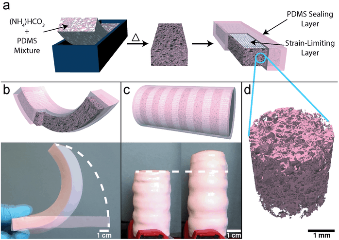 It is hoped the elastomer foam will receive FDA approval so that it can be used inside the body. 