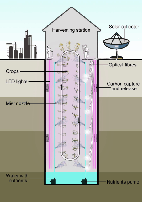 underground farm