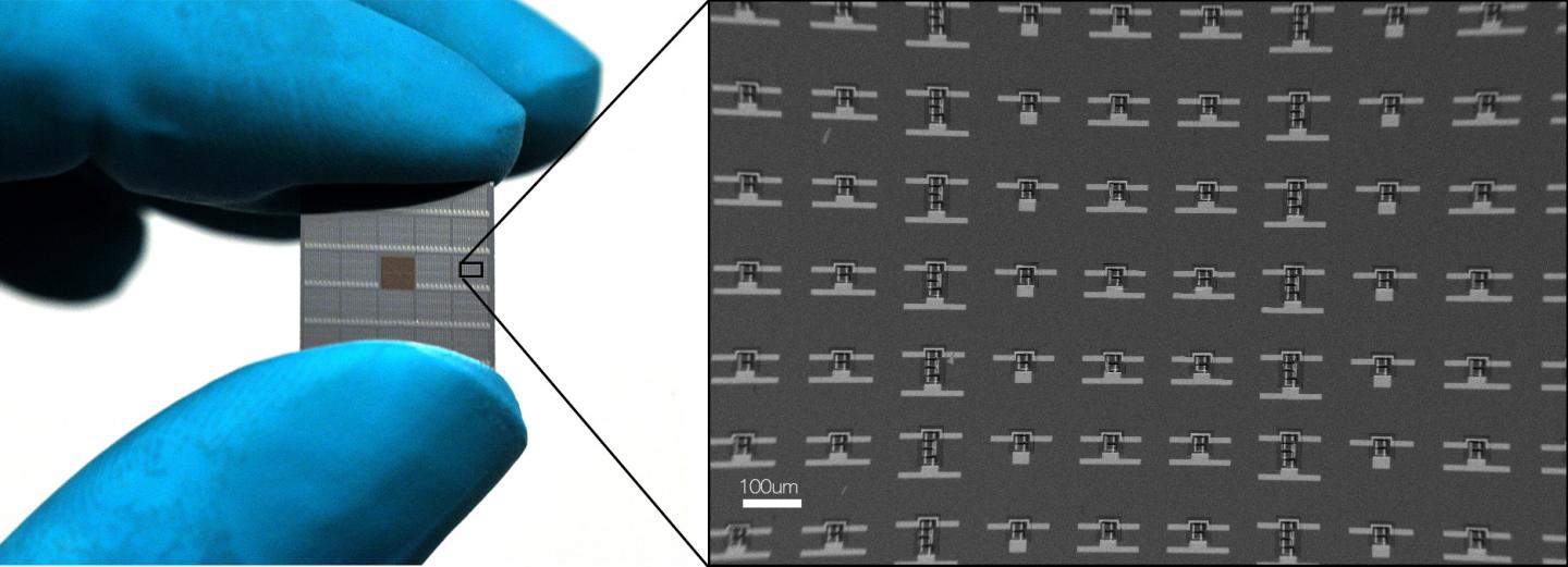 Injectable robot bugs