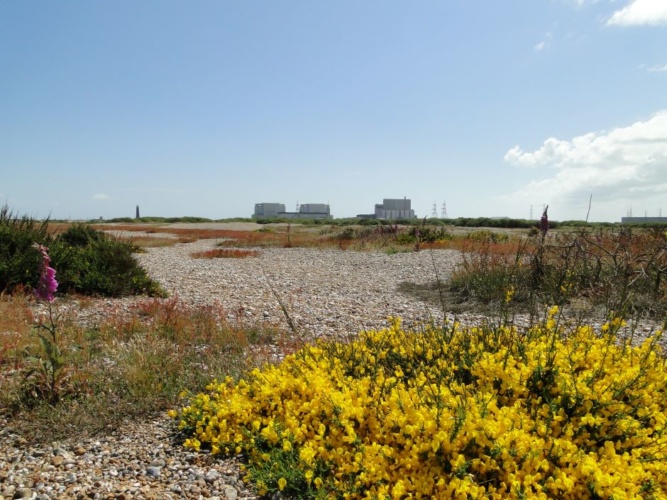 Dungeness B