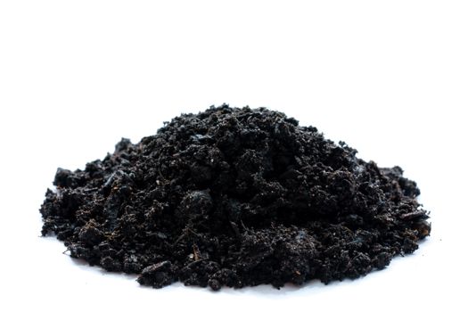 Biochar produced at the new facility could be used to improve soil health 