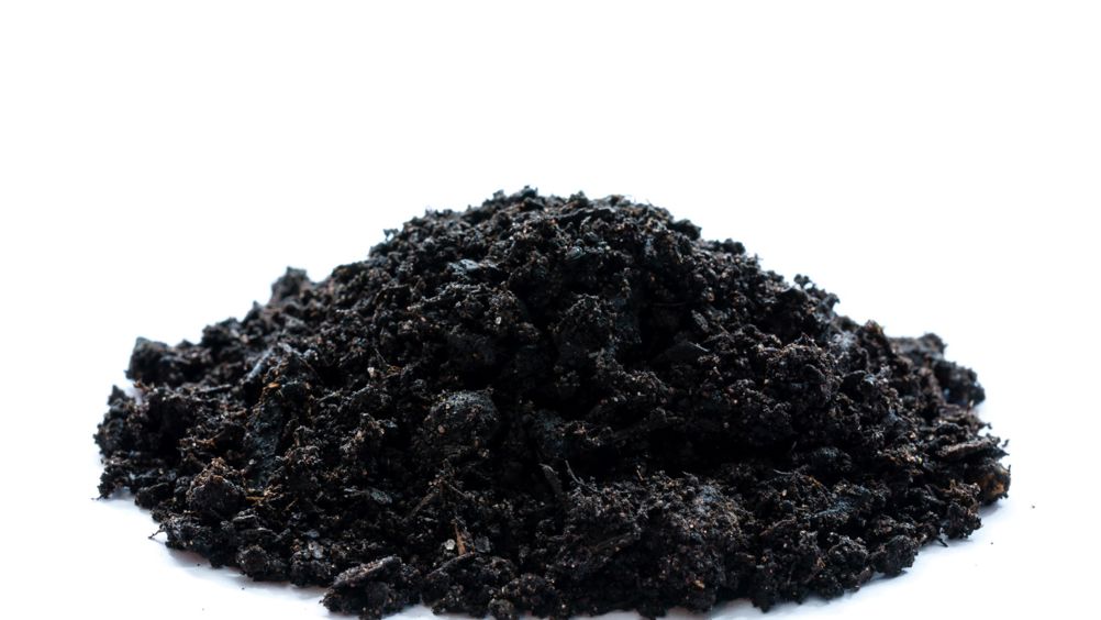 Biochar produced at the new facility could be used to improve soil health 