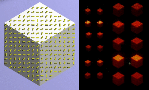 normal mapping metasurface