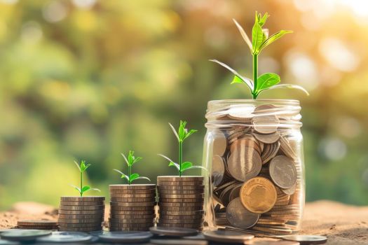 The new fellowship will support investors to make more informed choices 