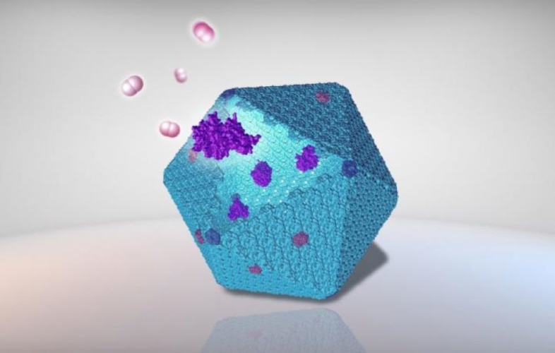 Nanobioreactor