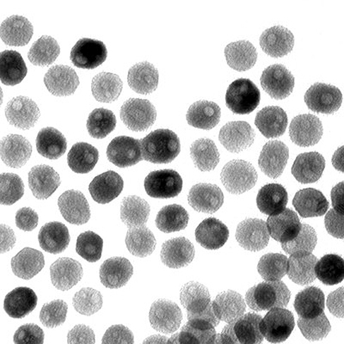 A transmission-electron microscope image of a collection of quasi-spherical nickel phosphide nanoparticles