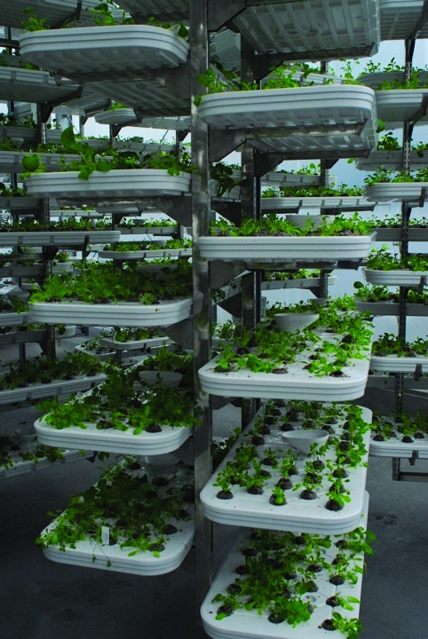 Alterrus Systems has installed a vertical farm on the rooftop of a Vancouver car-park