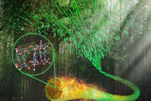 Artist’s impression of the way natural cellulose fibres are combined to form the CNF yarn, and a magnified section showing the nanoscopic rod-shaped filaments within the yarn bundle
