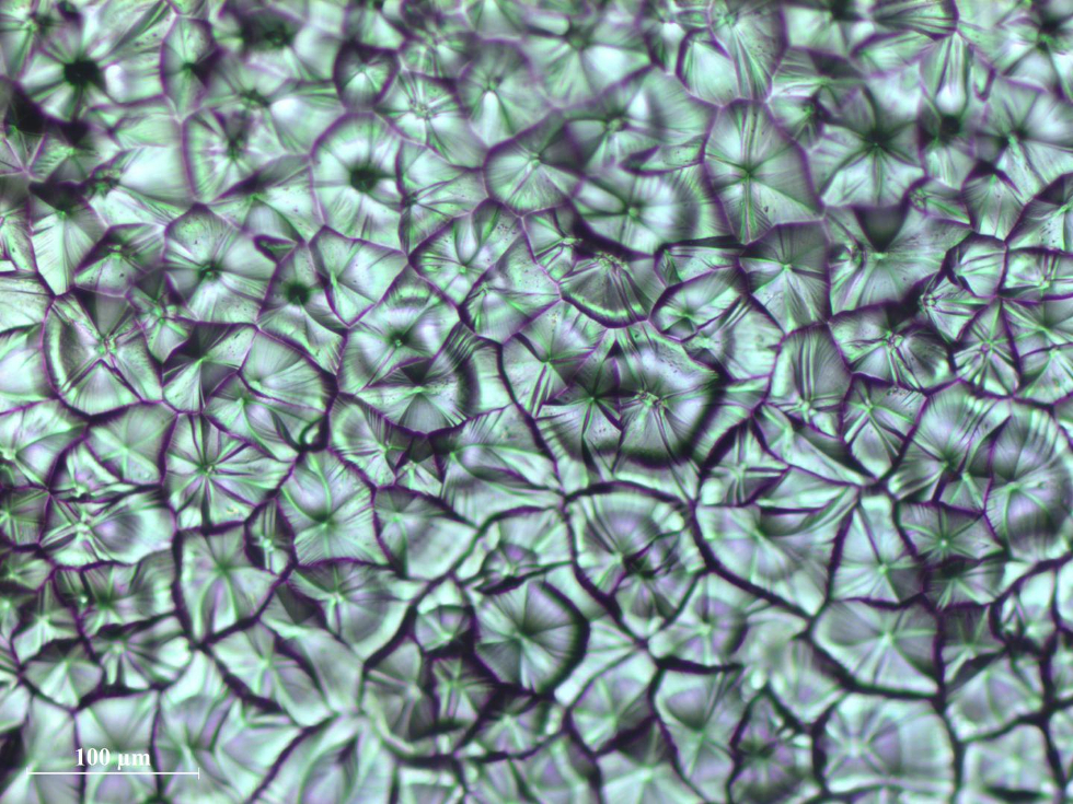 Optical micrograph of perovskite crystal grains crafted by MASP (Credit: Ming He, Georgia Tech)