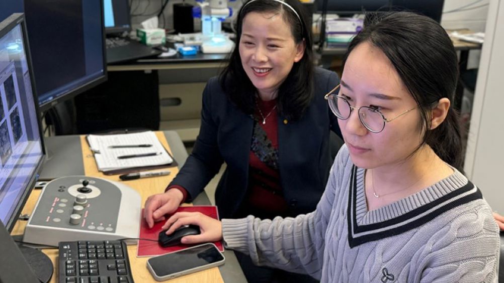Haiyan Wang (left), the Basil S. Turner Professor of Engineering in Purdue University’s School of Materials Engineering, and graduate student Chao Shen work on a transmission electron microscope at Neil Armstrong Hall of Engineering