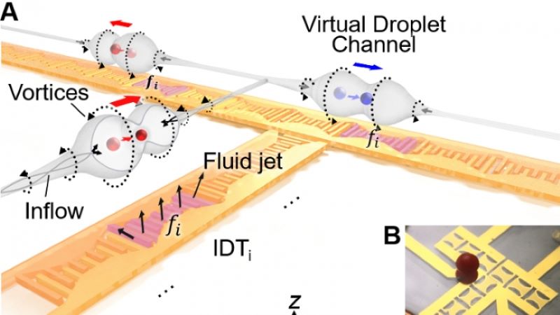 lab-on-a-chip