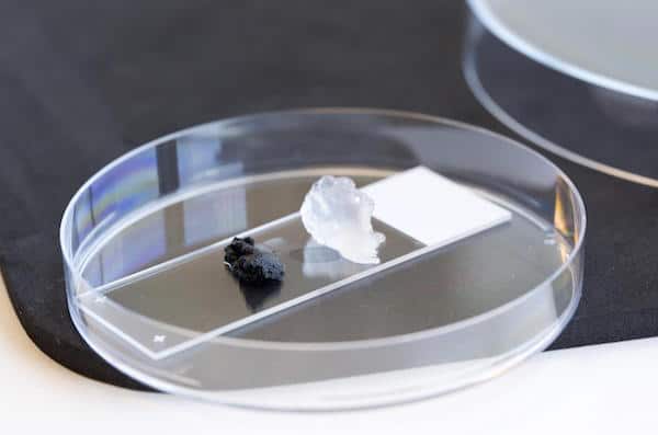 Conductive nanocellulose gel (black) made conductive by carbon nanotubes, next to customary nanocellulose gel (clear)