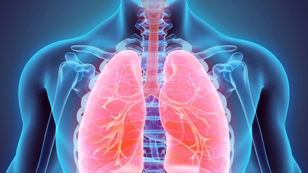 The ventilator-on-a chip measures real-time changes to cells that affect the integrity of the barrier between tiny air sacs and capillaries carrying blood