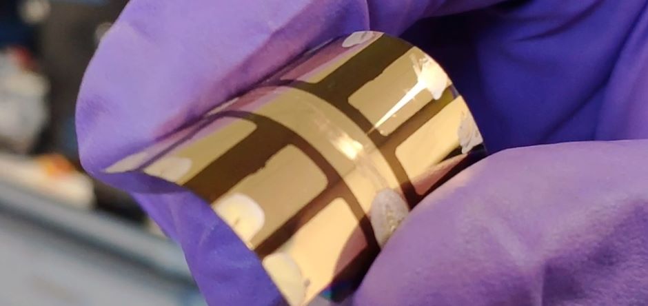 Organic and perovskite solar cells