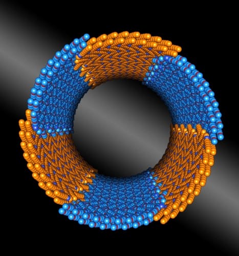 The peptoid is composed of two chemically distinct blocks. (Credit: Berkeley Lab)