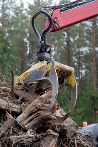 biofuel wood waste