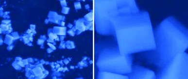 The researchers have created for the first time compounds made from mixtures of calcium hexaboride, strontium and barium hexaboride. From left: Scanning electron microscope image of hexaboride structure at the five-micron scale; image at the 500nm scale