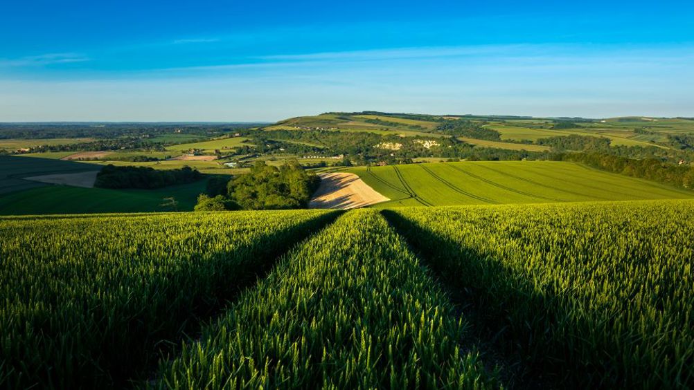 Private 5G networks could drive sustainable food and drink productivity in West Sussex and beyond