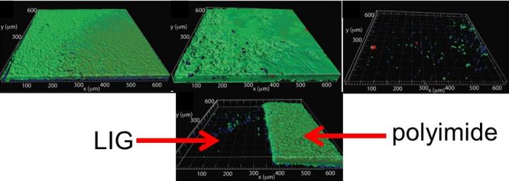 At bottom, a sheet of polyimide burned on the left to leave laser-induced graphene shows the graphene surface nearly free of growth (Arnusch Lab/BGU)