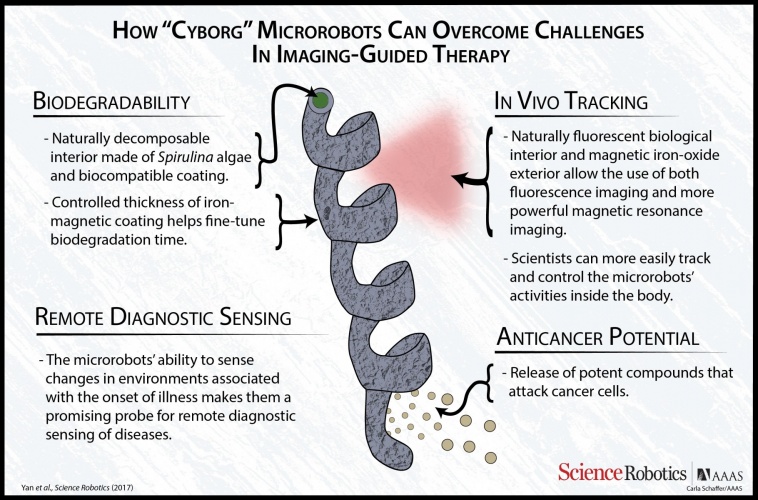 nanobots