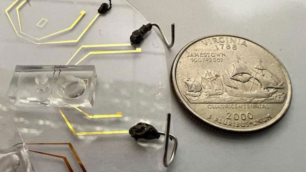 A microfluidic device barely larger than a U.S. quarter and developed by a Rutgers University-led team can detect rare genetic mutations from a single drop of blood