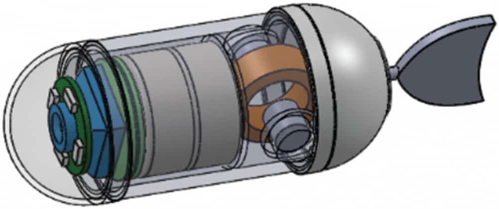 Tadpole endoscope1 