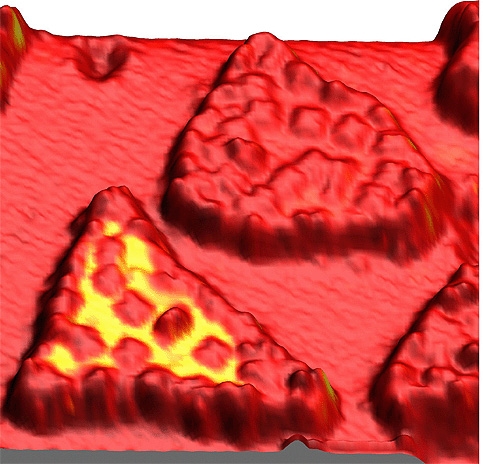 Scanning tunneling microscopy (50 x 50 nm2) of organic molecules. Coloring indicates variable spin orientation
