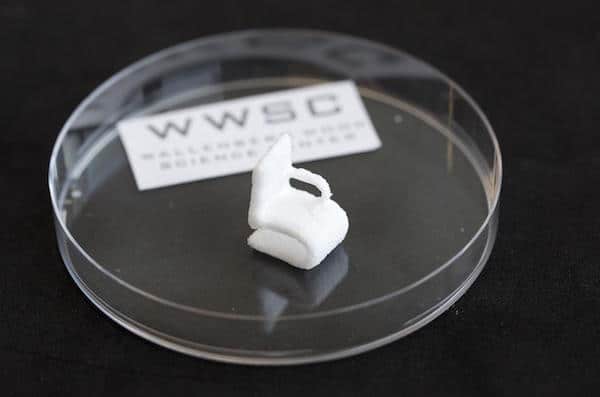 The tiny chair made of cellulose is a demonstrational object printed using the 3-D bioprinter at Chalmers University of Technology